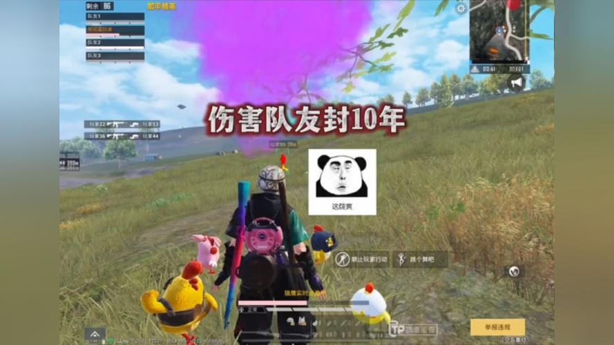 和平精英辅助【年兽一体直装】全图人物透视 掩体漏打变色 漏打锁死自瞄 无限距离自瞄 漏打弹道追踪 人物物资显示